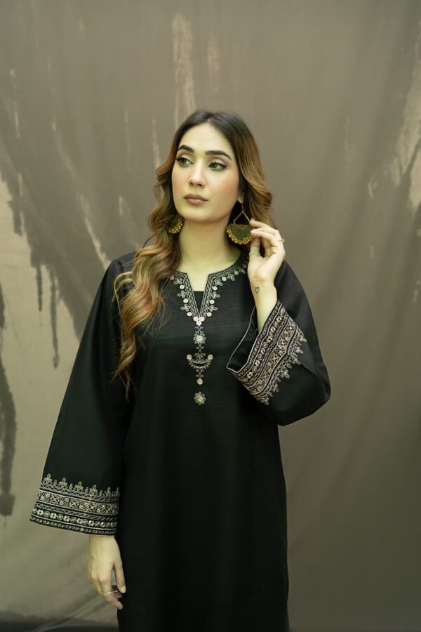 Black Embroidery Suit 2pc